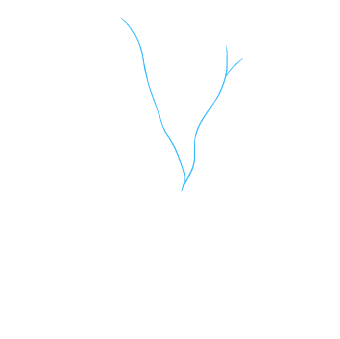 Cách vẽ cây mùa thu: Cách 1