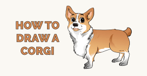 Cách vẽ Corgi Ảnh nổi bật "height =" 157 "width =" 300 "srcset =" https://vẽ.vn/wp-content/uploads/2019/12/How-to-Draw-a-Corgi-Feature -Hình ảnh-300x157.png