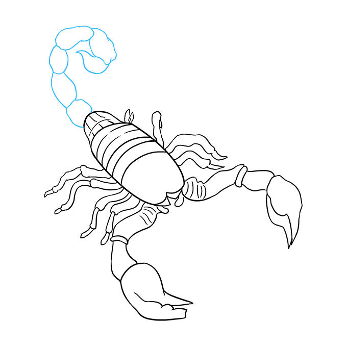 Cách Vẽ Một Con Bọ Cạp Mới Nhất 2022: Nếu bạn đam mê vẽ tranh và muốn thử sức với chủ đề bọ cạp, hãy cùng xem hình ảnh liên quan để tìm hiểu cách vẽ bọ cạp mới nhất
