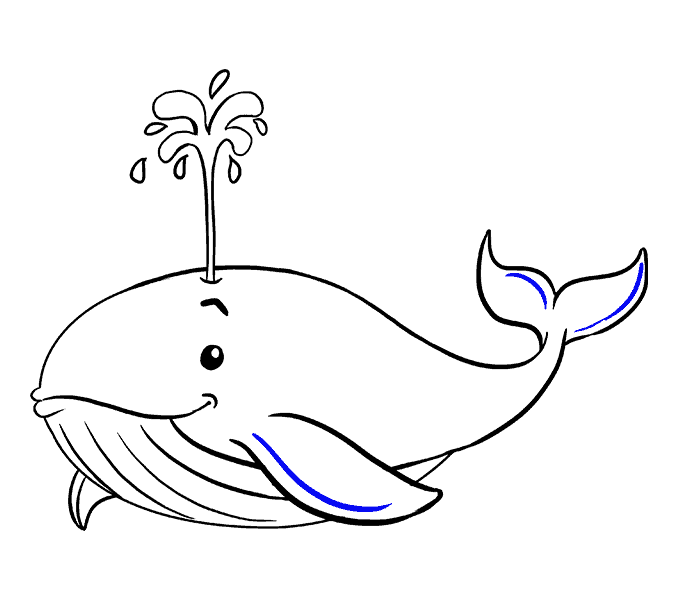 Xem hơn 48 ảnh về hình vẽ cá voi xanh - NEC